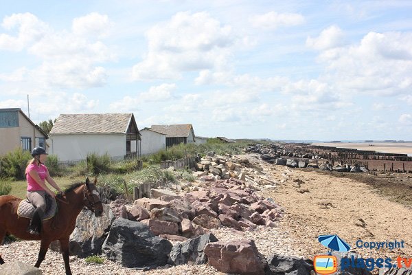 Photo of Paisty Vert beach in Ver sur Mer in Normandy