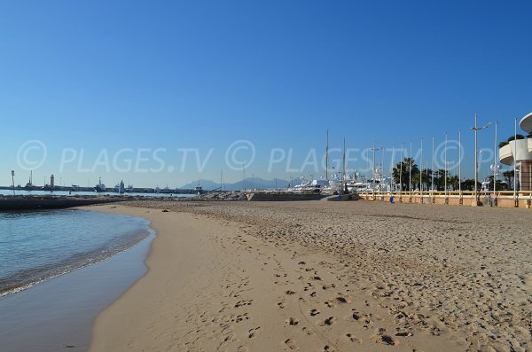 Vista del porto dalla spiaggia del Palazzo del Festival a Cannes