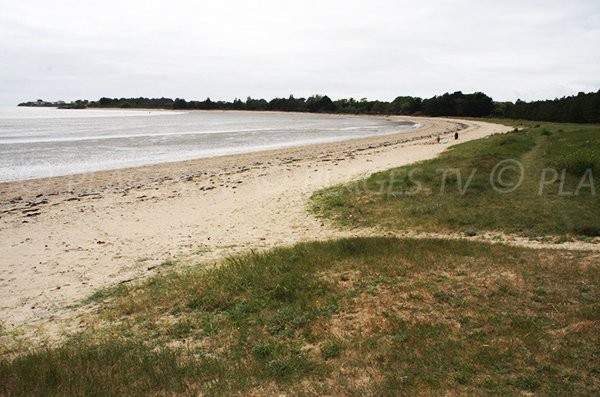 Plage dans la baie de Palandrin avec vue sur la pointe du Bile - Pénestin