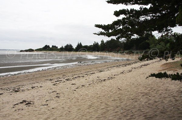 Plage de sable au sud de Pénestin