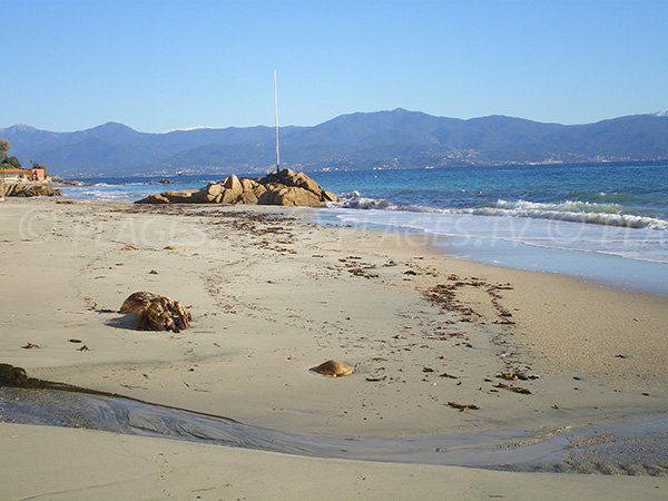 Plage de sable à côté de l'hôtel Palm Beach avec vue sur les montagnes à Ajaccio