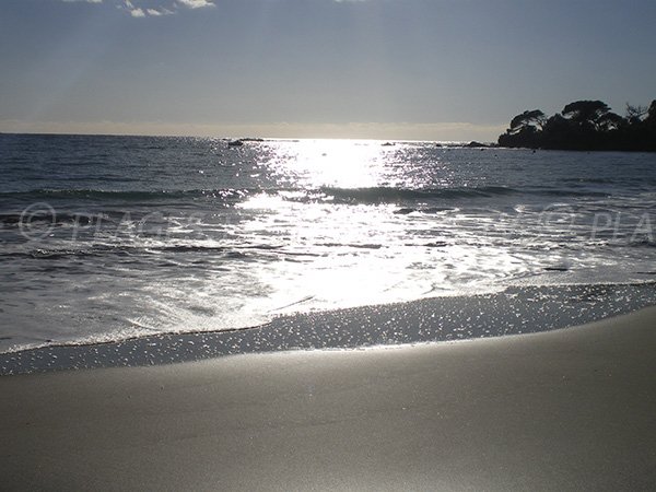 Beach of the Palm Beach Hotel - Corsica