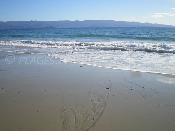 Plage de Palm Beach à Ajaccio