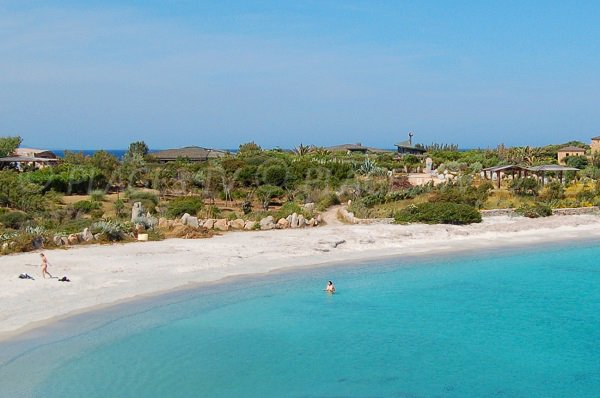 Plage de sable à côté du port de Cavallo