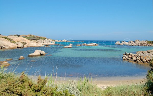 Cala di Palma - Cavallo island - Archipelago of Lavezzi