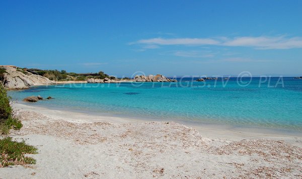 Plage à l'est de l'ile de Cavallo