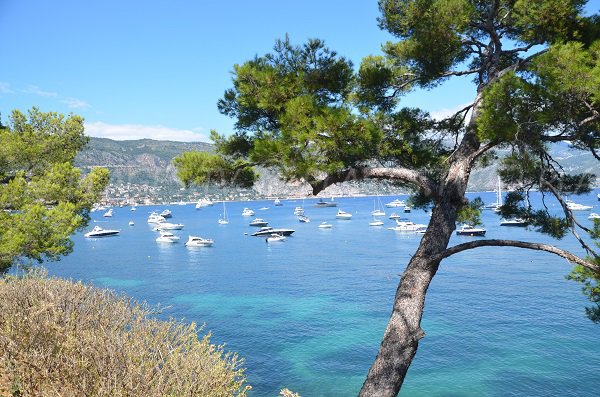 Plage de Paloma en face de Beaulieu sur Mer