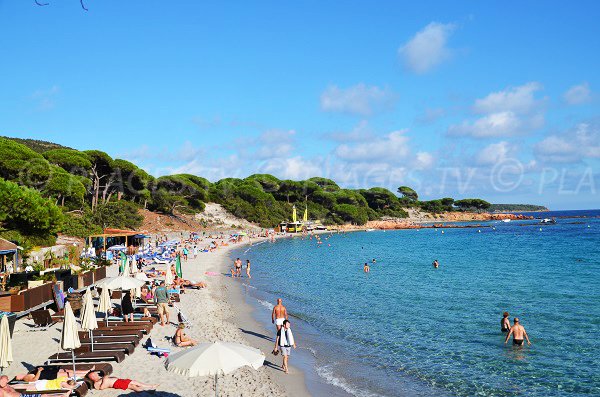 Paillote spiaggia di Palombaggia a Porto Vecchio