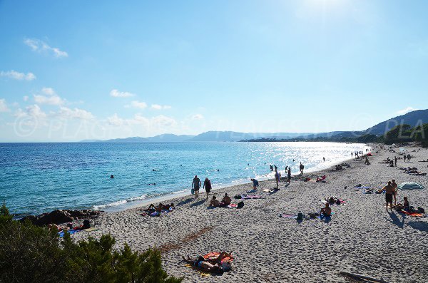 Palombaggia bay in Corsica