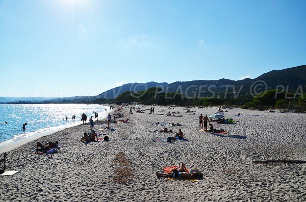 Photo of Palombaggia beaches in Porto Vecchio