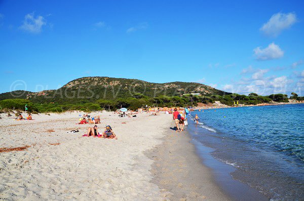 Piccole dune spiaggia di Palombaggia