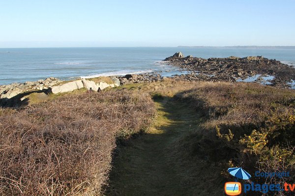 Pointe de Locquirec