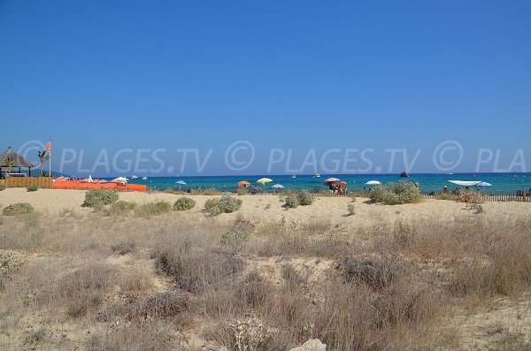 Bord de plage de Pampelonne - Epi