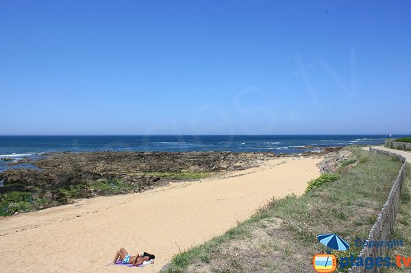 Promenade autour de la plage de Paracou - La Chaume