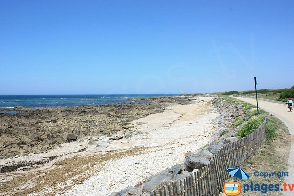 Piste aménagée le long des criques de Paracou - Les Sables d'Olonne