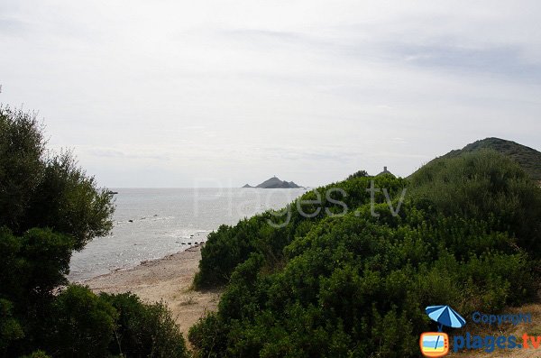 Accès à la plage de la tour de la Parata - Ajaccio