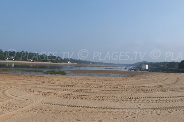 Photo de la plage du parc - Lac Hossegor