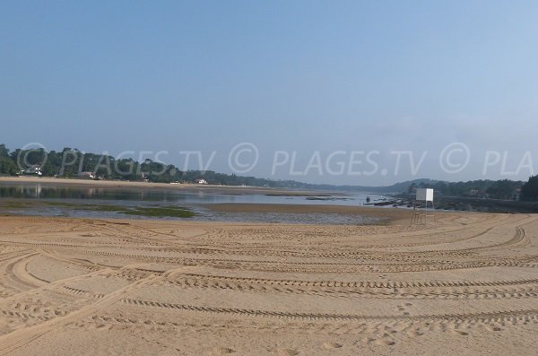 Photo of Park beach - Hossegor Lake