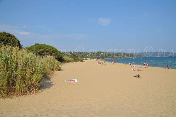 Environnement de la plage de Pardigon à Cavalaire sur Mer