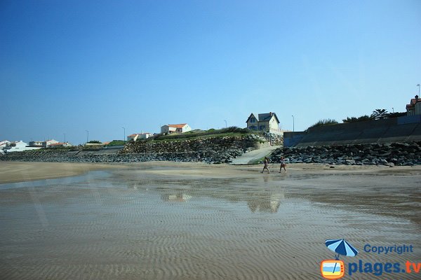 Environnement de la plage de la Parée - Brétignolles