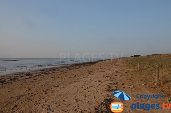 Spiaggia di Parée Grollier - Notre Dame de Monts - Vandea