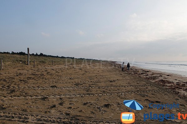 Spiaggia di Parée Grollier - Notre Dame de Monts