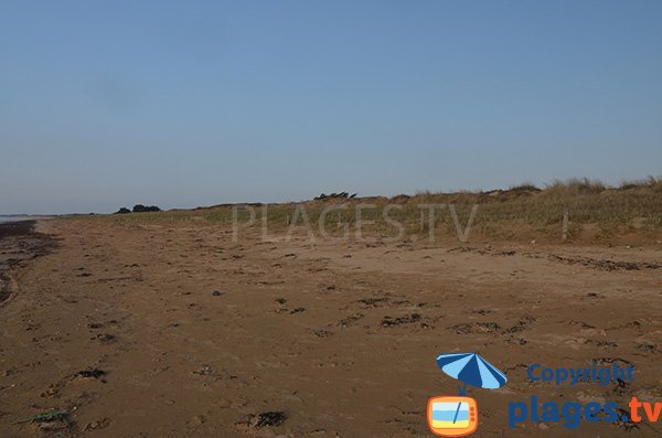 Dune della spiaggia di Parée Grollier - Notre Dame de Monts