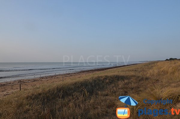 Photo de la plage de Parée Grollier à Notre Dame de Monts