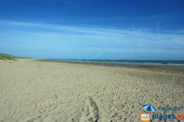Dunes on the Parée du Jonc beach - St Jean de Monts