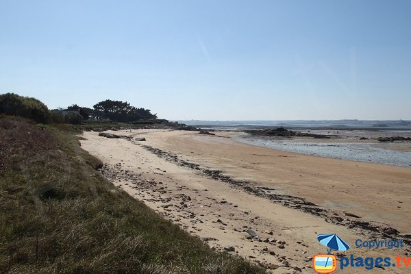 Plage dans le centre de l'ile Callot de Carantec