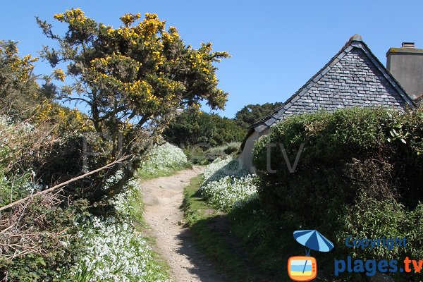 Path to the church from the beach of the island of Caillot