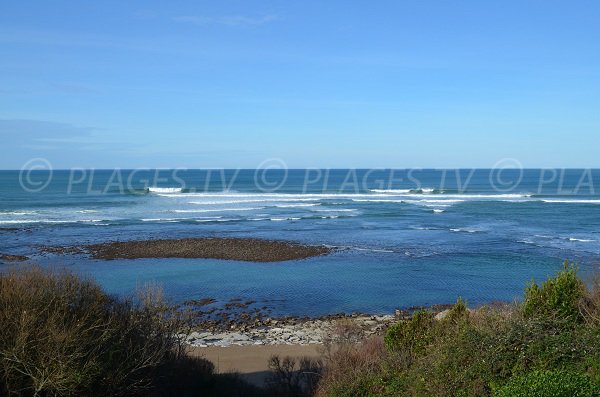 Parlementia beach from the parking