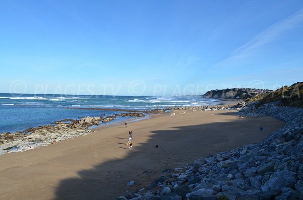 Parlementia beach in Bidart in France