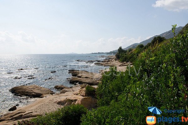 Foto spiaggia di Pasci Pecura - Ajaccio