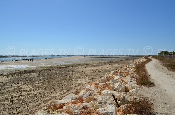 Photo of Patache beach - Les Portes en Ré - France