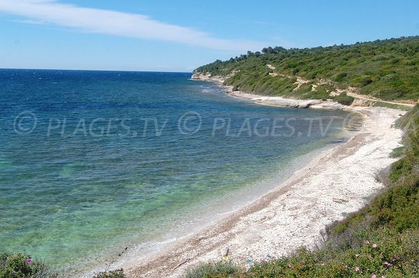 Beach near the tip Cani in Patrimonio - Haute Corse