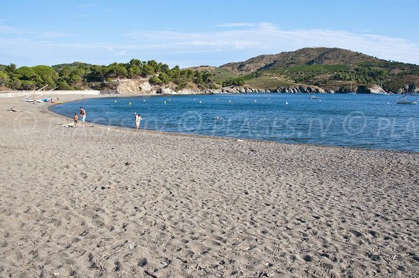 Photo de la plage de Paulilles à Port Vendres 66