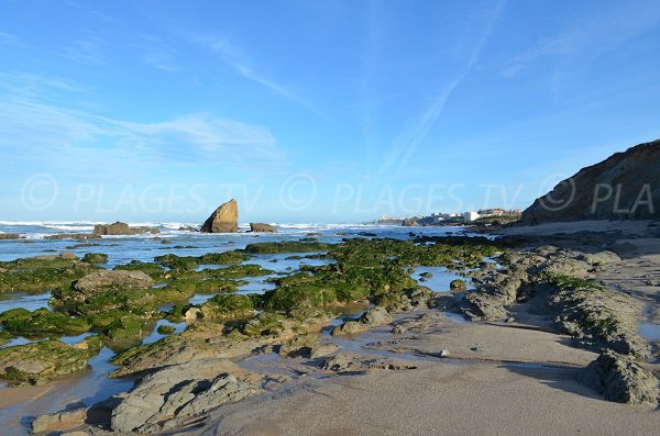 Plage du Pavillon Royal avec vue sur Biarritz