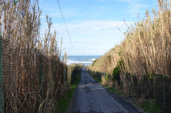 Access to Pavillon Royal beach