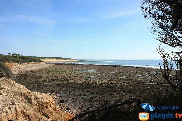 Cove in Jard sur Mer