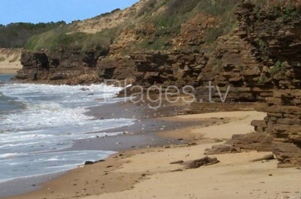 Sand cove of Payré - Jard sur Mer