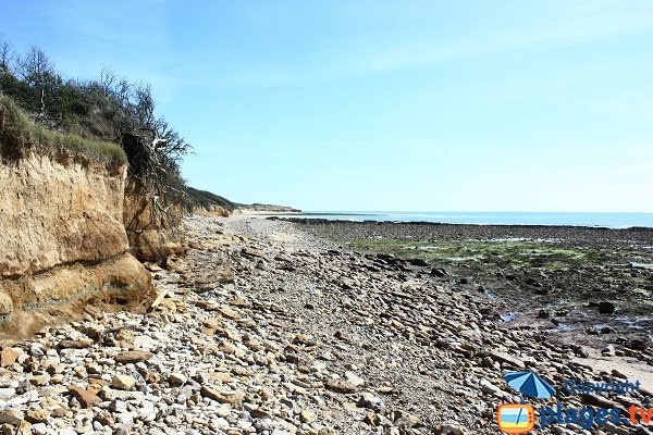 Photo d'une crique sur la route de la pointe du Payré - Jard sur Mer