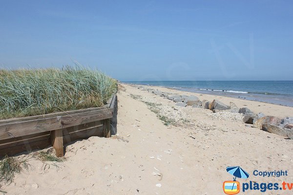 Dunes de la plage de Graye sur Mer - Brèche de la maison Pearson