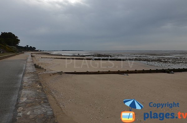 Promenade piétonne le long des plages de Les Moutiers en Retz