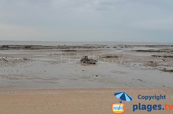 Tracteur sur la plage de la Pecherie à Les Moutiers en Retz