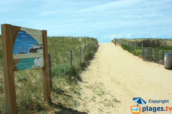 Accès à la plage de la Pége - St Hilaire de Riez