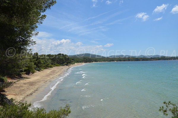 Vue générale de la plage du Pellegrin à Bormes les Mimosas