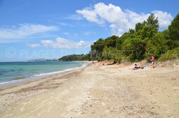 Plage du Pellegrin de Bormes dans le Var avec vue sur le port de La Londe