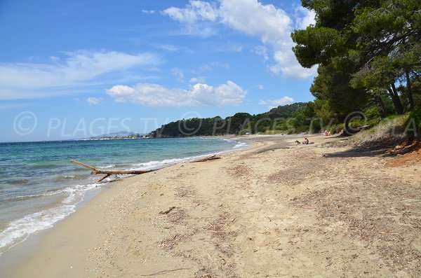 Shaded beach in Bormes les Mimosas - Pellegrin