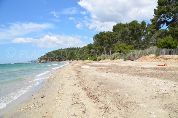 Pellegrin beach of Bormes les Mimosas in France